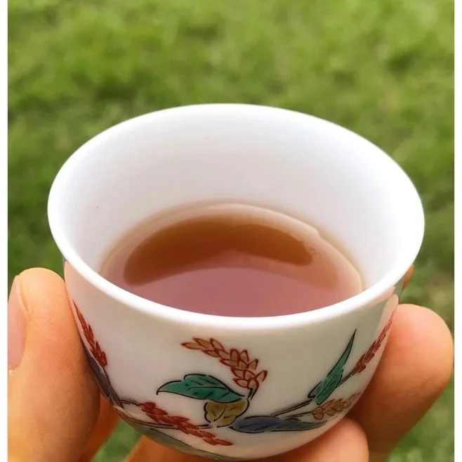 Shilajit Medicina Ayurveda - vista 2