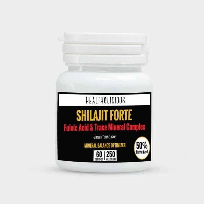 Shilajit Medicina Ayurveda