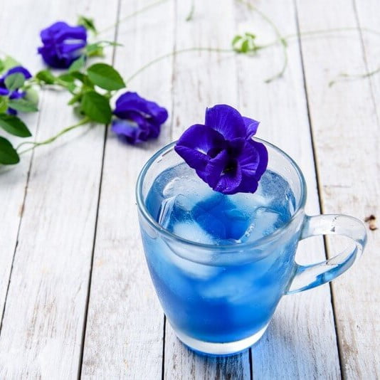 Chá Azul Flor Ervilha-Borboleta