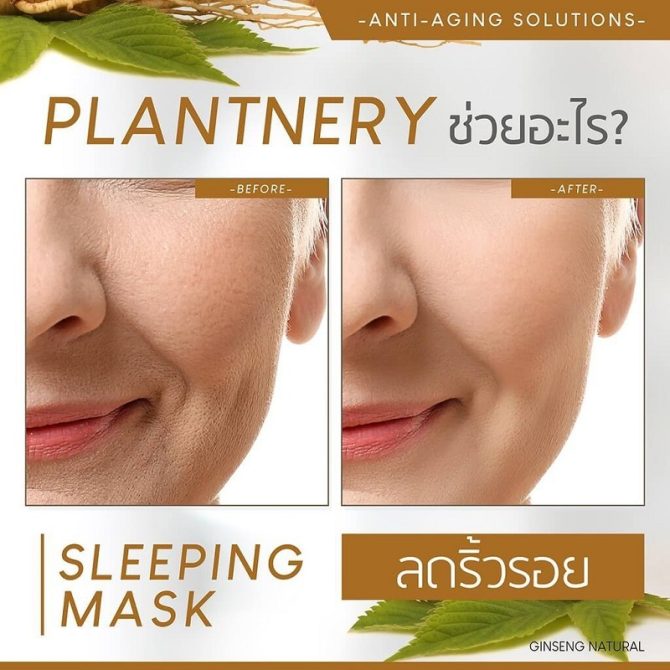 Sleeping Mask de Ginseng Plantnery