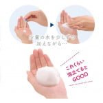 Kanebo Suisai Beauty Clear Powder Facial Wash