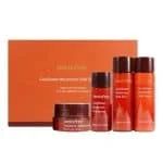 Innisfree Cauliflower Mushroom Vital Special Kit
