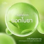 Plantnery Green Tea Detoxify Serum - Image 2