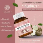 Pueraria Mirifica