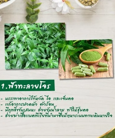 pasta de dentes natural - vista 2