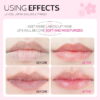 Laikou Japan Sakura Sleeping Lip Mask