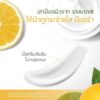 Plantnery Yuzu Orange Day Cream