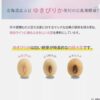 SANA NAMERAKA HONPO Soymilk Isoflavone medicated pure white essence 100ml