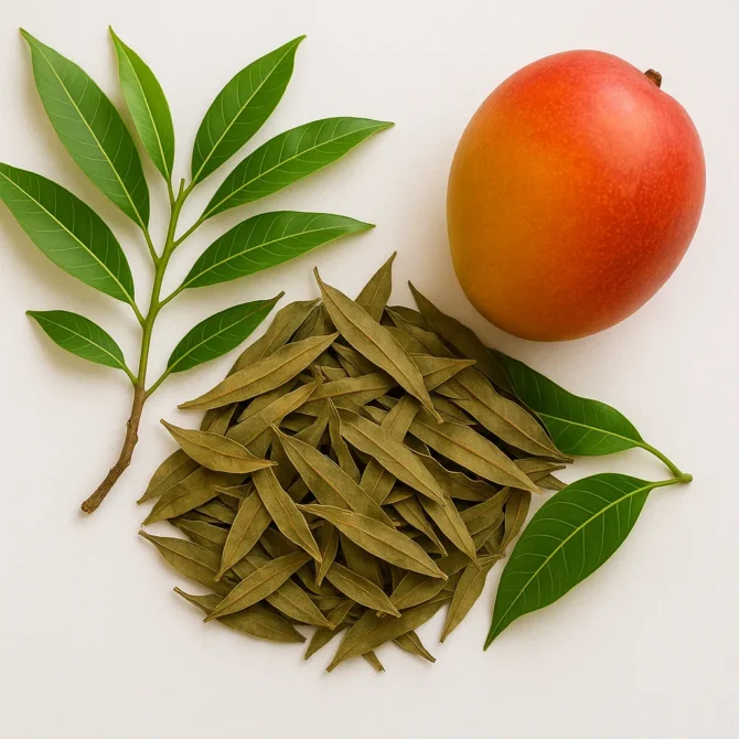 Chá de Folhas de Manga Secas – 50g 🌿 - Image 2