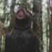 C&A Telheiras novo conceito de loja em Portugal 12 forest 1834831 960 720