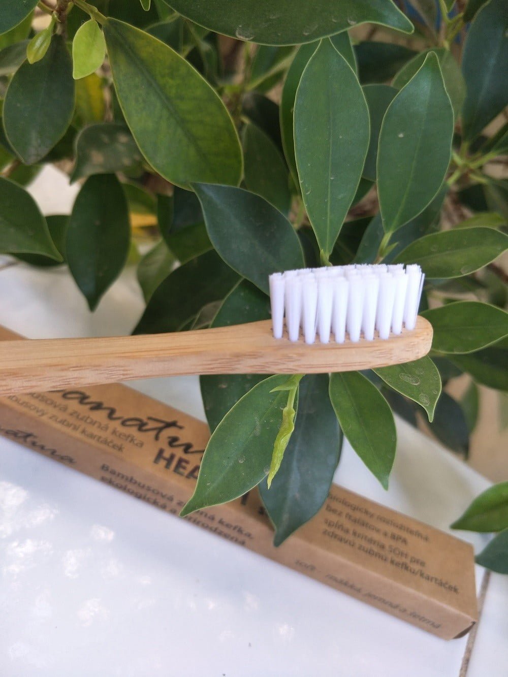Escova de dentes bamboo