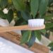 Escova de dentes bambu 2
