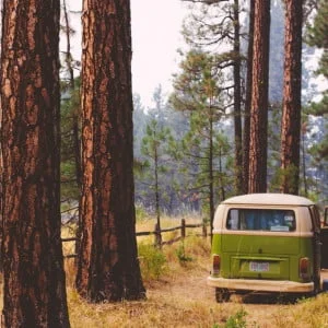 Indie Campers
