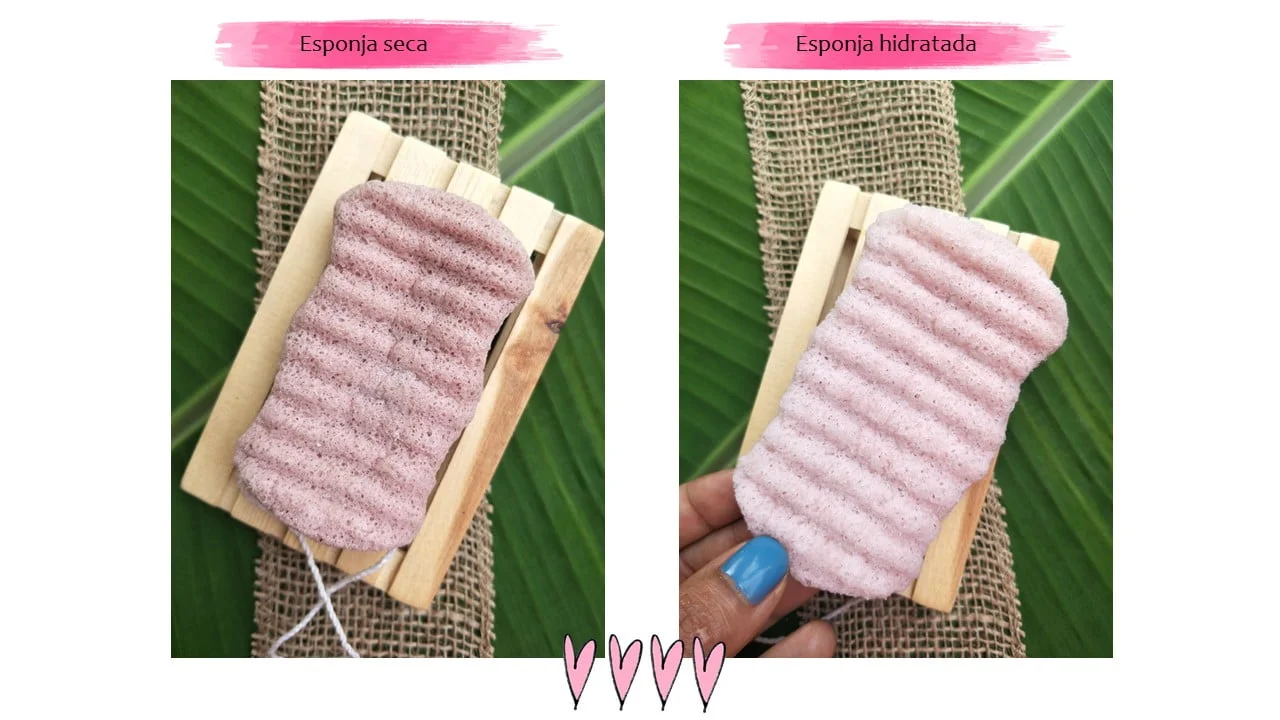 Esponja Konjac