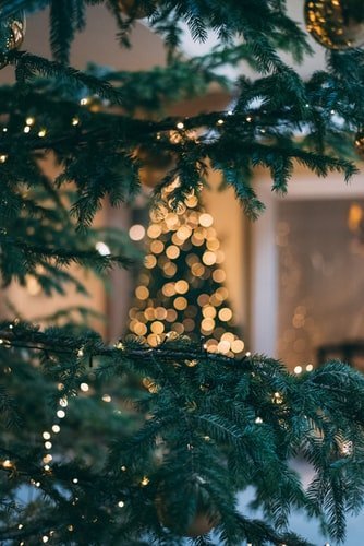 Prendas de Natal - Sugestões 2019 Mulheres 1 Prendas de Natal