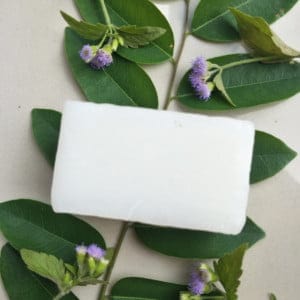 Camphor Soap and Essential Oils - Natural Skin Care 4 sabão de cânfora - vista 4