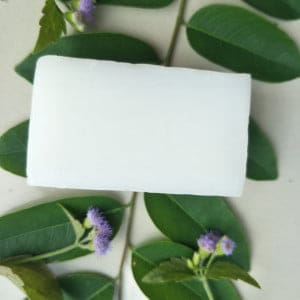 Camphor Soap and Essential Oils - Natural Skin Care 3 sabão de cânfora - vista 3