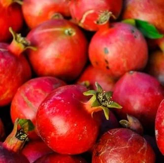 Antioxidantes na Pele