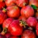Antioxidantes na Pele - Contra o Anti-Envelhecimento 5 Antioxidantes na Pele