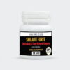 Shilajit Medicina Ayurveda