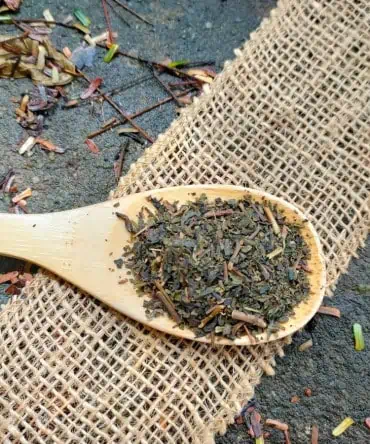 chá verde tradicional tailandês