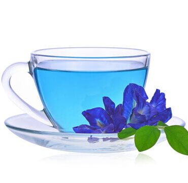 chá azul tailândia