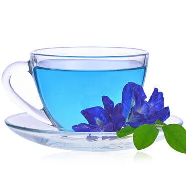 chá azul tailândia