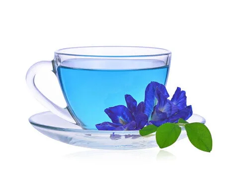 Chá Azul da Tailândia (Butterfly Pea): O Segredo da Longevidade e Beleza Antioxidante