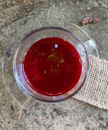 chá sangue de dragão