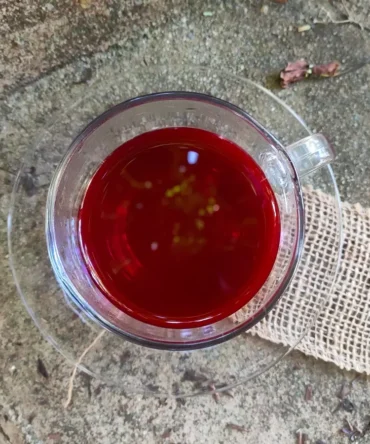 chá sangue de dragão