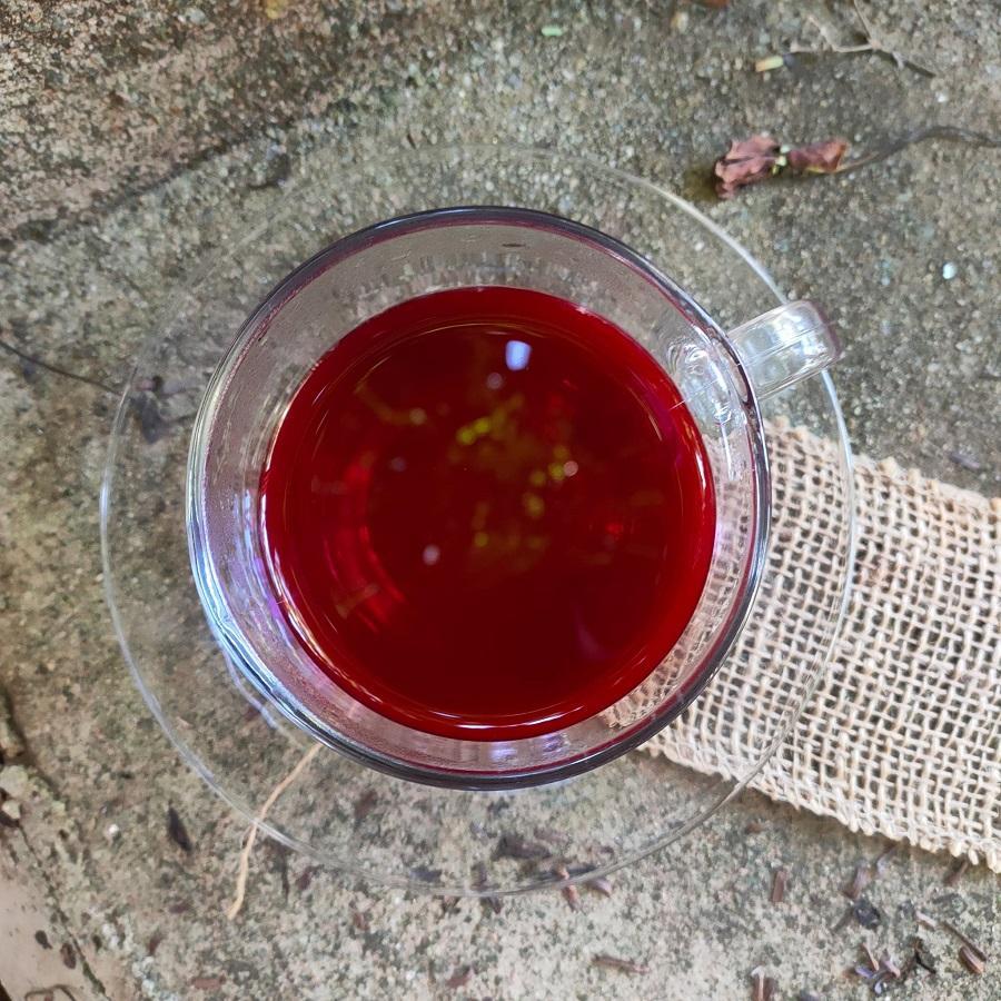 Dragon's Blood Tea - Natural and Therapeutic Benefits 1 chá sangue de dragão