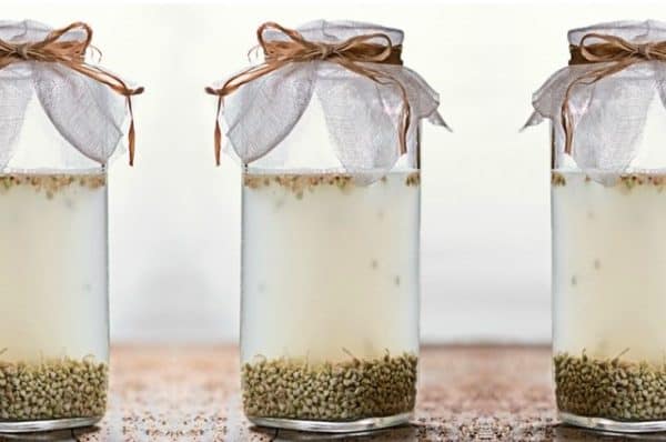 Cosméticos Fermentados - A Grande Tendência de Pele