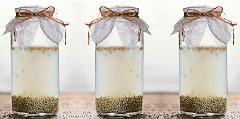 Cosméticos Fermentados - A Grande Tendência de Pele