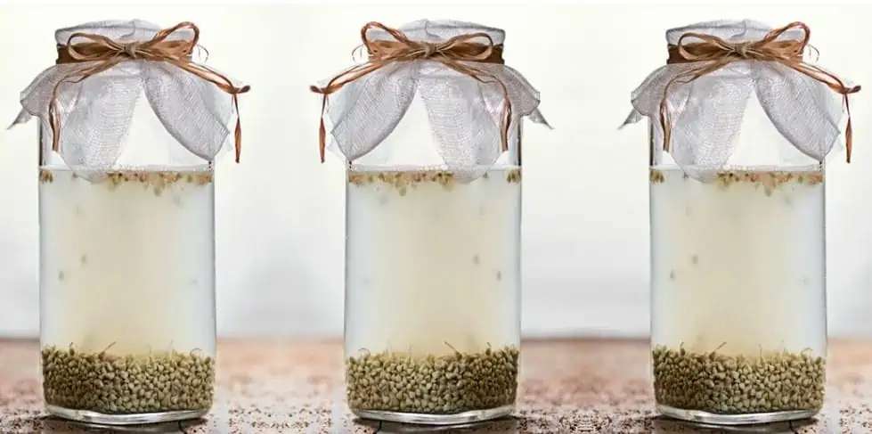 Cosméticos Fermentados - A Grande Tendência de Pele
