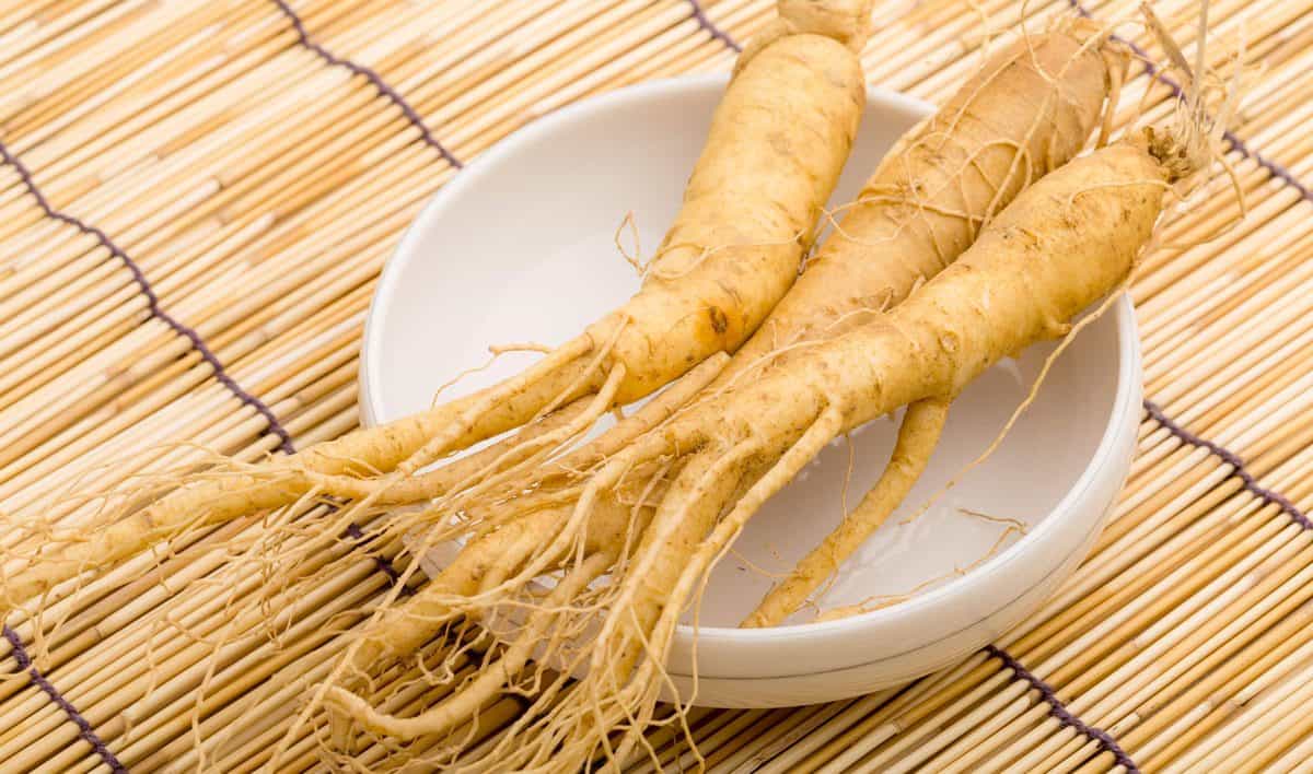 ginseng