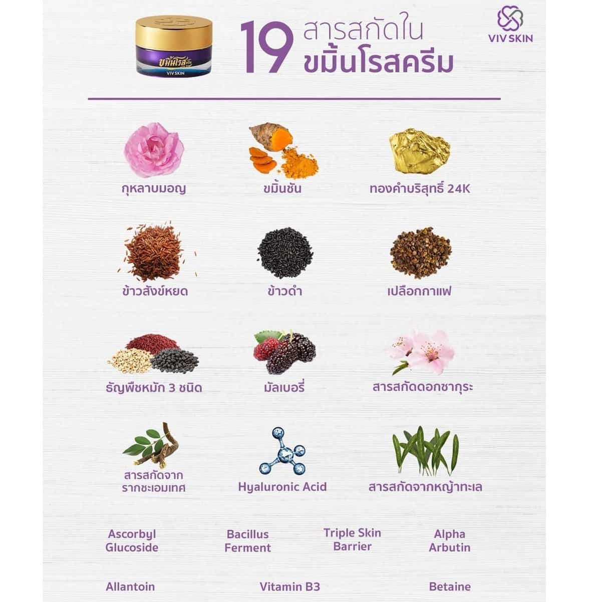 Viv Skin Kamin Rose Cream - Rejuvenating Facial Cream 4 Viv Skin Kamin Rose Cream - vista 4