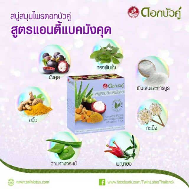 Natural Mangosteen Soap - Natural Cleaning and Shine 2 sabão natural de mangostão - vista 2