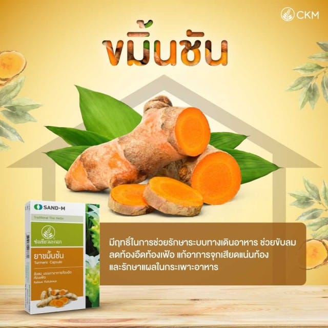 Suplemento Cúrcuma - Sand-M Thai Herbal Turmeric 2 suplemento cúrcuma - vista 2