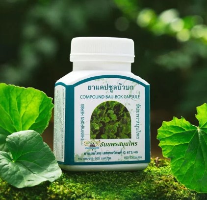 Thanyaporn Herbs Bau-Bok: Centella Asiática (Gotu Kola) para Regeneração e Vitalidade 100 Cápsulas 1 Thanyaporn Herbs Bau-Bok