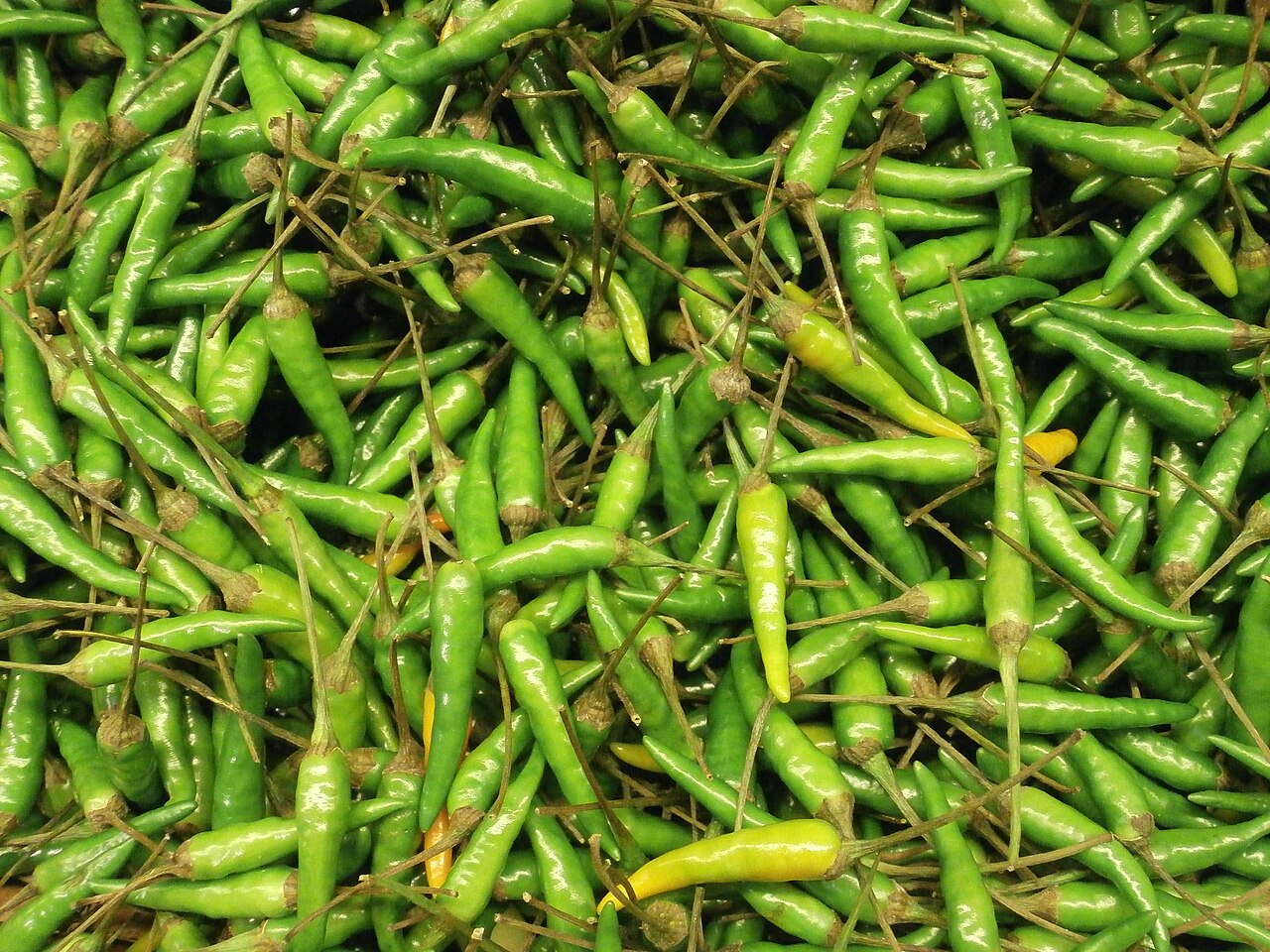 Malaguetas tailandesas